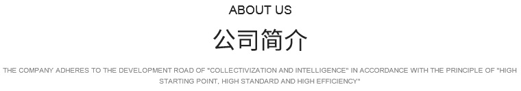 公司簡介